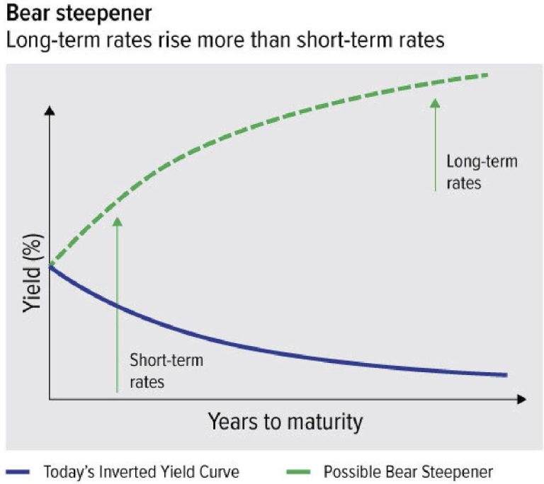 Another Rare Macroeconomic Bird Sighted? The Dreaded Bear Steepener