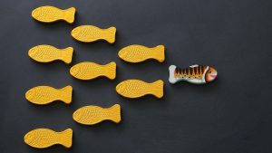 In An Unpredictable Stock Market, There’s Power In Contrarian Investing