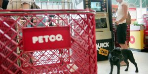 Petco customers are flocking toward cheaper pet food — and the more expensive stuff — amid inflation ‘bifurcation’