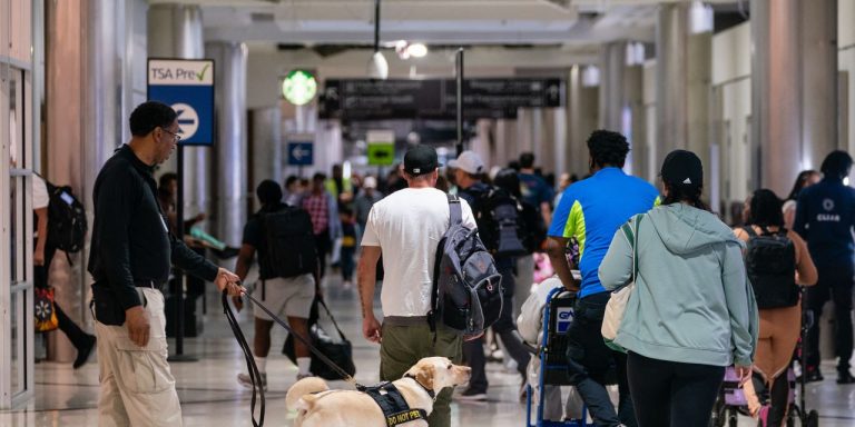 Labor Day holiday to cap ‘busiest summer travel period on record’ at airports