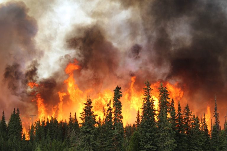Wildfires ‘Robustly Associated’ With Higher Dementia Rates, Study Finds