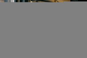 How AI Can Impact Your Job Search