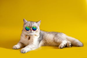 There Are Only 6 Ways to Get Rich: Take Your Pick