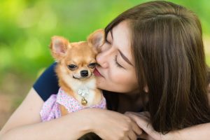 The Best Cities for Dog Lovers in 2023