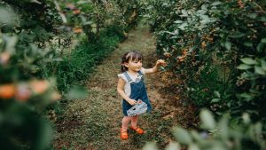 I’m a mom in Japan, home to the world’s healthiest kids—4 things Japanese parents do differently to raise successful eaters