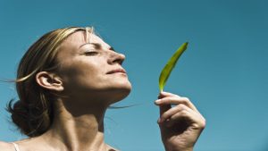 Longevity doctor shares No. 1 supplement he’s been taking every day to ‘slow down aging’—and how he feels now