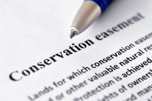 Tax Court Exposes Financial Engineering Of Conservation Easements