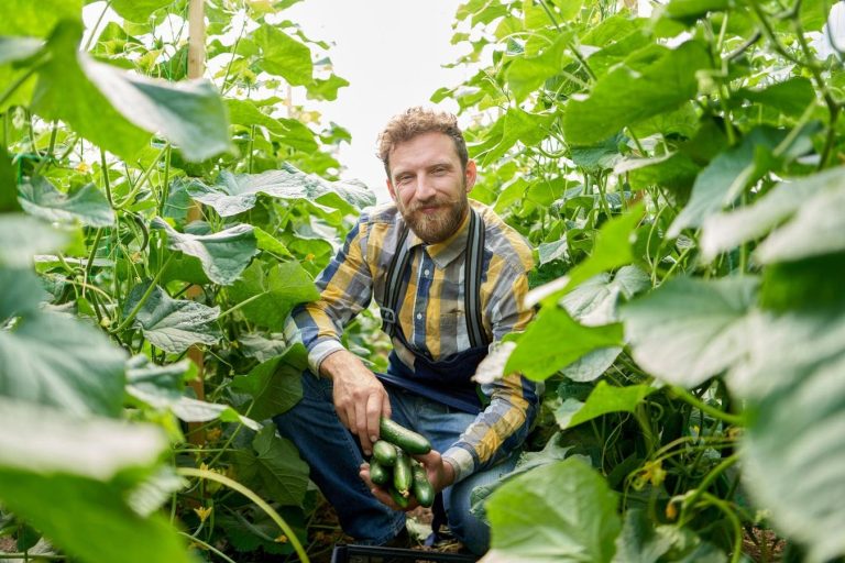 How To Use Tax Harvesting Before Year End To Lower Your Taxes