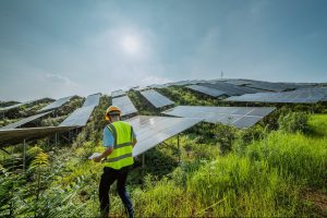 6 Tips to Invest in Renewable Energy Now