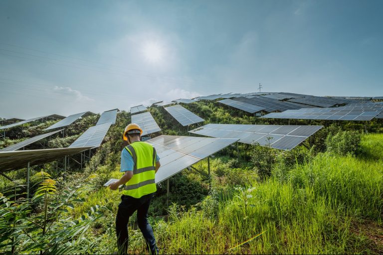 6 Tips to Invest in Renewable Energy Now