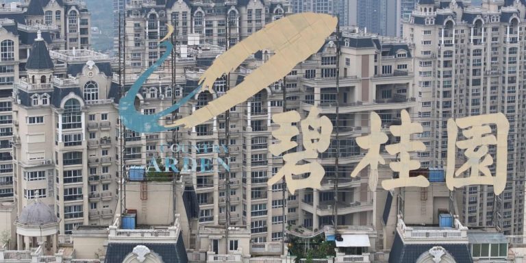 Shares of Country Garden and other top China property developers surge on hopes of new government support