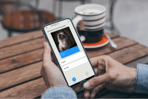 Successful Entrepreneurs Are Using This New Platform to Improve International Connections