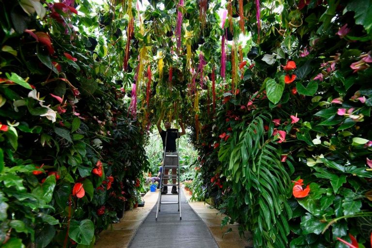 4 Ways To Grow Your Personal Resume After Retirement