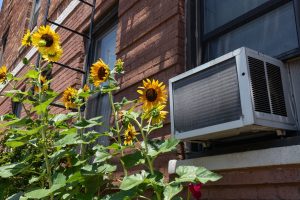 AC Unit Mold Recall Hits 1.7 Million. Are Your Family and Finances at Risk?