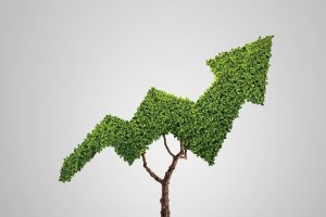 Best Franchise Opportunities: Top-Tier Brands You Should Consider