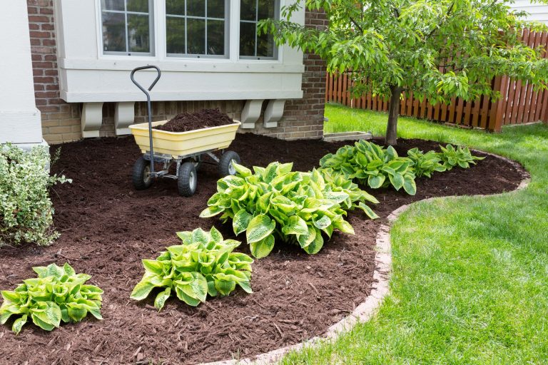 9 Effective Ways to Keep Mulch in Place