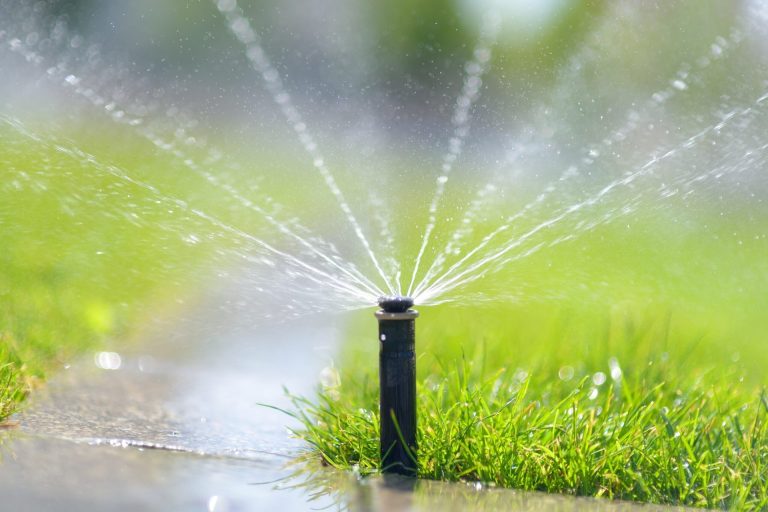 15 Cities Where Watering Your Grass Will Drain Your Wallet