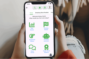 Build Smarter Portfolios With AI-Guided Stock Picks and Risk-Based Recommendations