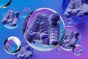 AI Is the New Dot-Com Moment