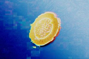 Crypto Builders Can’t Ignore This Crucial Component Anymore